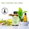 Wnmaicer Organic Tea Tree Oil 4 Fl Oz - 100%