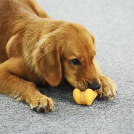 Tikaton Indestructible Dog Chew Toys for Aggressive Chewers, Beef Flavor Durable Dog Teething Chew Toys Bones for Large/Medium/Small Puppies X-Large