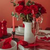 Valentine's Day Paper Straws Red White Striped Drinking Straws