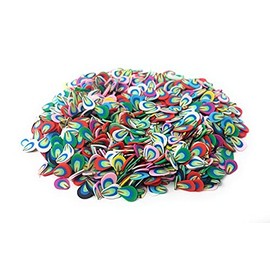 1000 Pieces Mini Accessories for Slime Crafts Nail Art and Face Decoration [Feather]