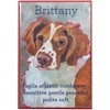 Brittany Fridge Magnet