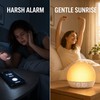 Sunrise Alarm Clock with 30 Soothing Sounds, White Noise Machine,