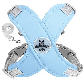 Arnés para Perro,1.5 M Pechera para Perro Ajustable Reflectante Transpirable,con Correa para Perros,para Perros Pequeños y Medianos (Azul, S)