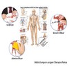 Sport-Tec Lymphatic System Mini Poster Anatomy 34 x 24 cm