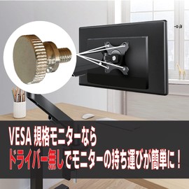 BLOOM SPIRITS vesa Screws Thumb Screws M4x6mm Stainless Steel M4 6mm Set of 5 VESA Compliant Washers Included (Set of 5)