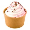 Coppetta 12-Ounce Dessert Cups, 200 Disposable Ice Cream Cups -