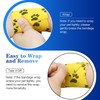 FGBNM Vet Wraps, 1"/2"/3" Self Adhesive Bandage Wraps, Non-Woven Pet