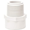 Lasco 436-020 Male adapter pvc sch 40 2in 2PVCWPMIP