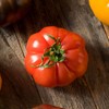 Tomato Seeds - Floradel - 1 g Packet ~275 Seeds