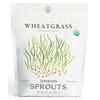Organic Wheatgrass Seeds (16 oz) – Non-GMO, Heirloom Seeds for