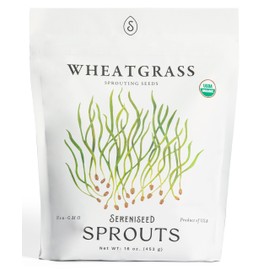 Organic Wheatgrass Seeds (16 oz) – Non-GMO, Heirloom Seeds for Sprouting and Microgreens