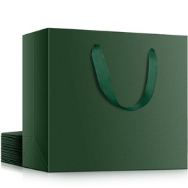 EUSOAR Gift Bags Medium Size, 20pcs 10.6"x3.1"x8.3" Green Kraft Paper Shopping Bags with Handles, Merchandise Grocery Retail Wrap Craft Paper Bags Sacks Bulk Wedding Birthday Christmas Party Favors