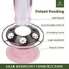 Kingsyard 2 Pack Glass Hummingbird Feeder for Outdoors, 16 Oz
