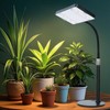 FECiDA Desk Grow Lights for Indoor Plants, Table Top Grow
