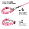 haoyueer Martingale Dog Collar with Stainless Steel Chain - Cute