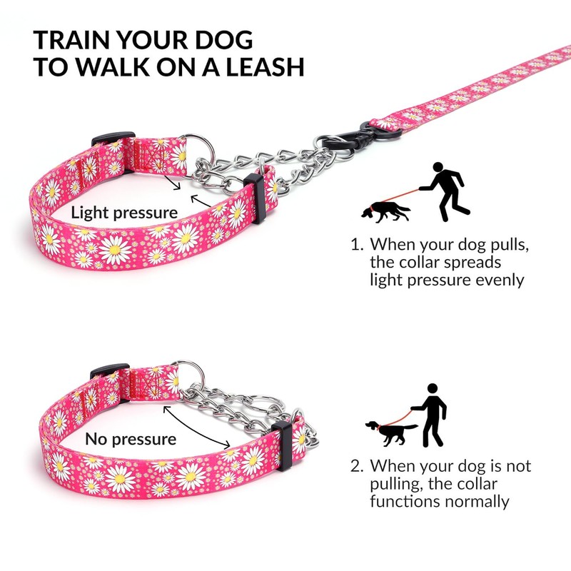 haoyueer Martingale Dog Collar with Stainless Steel Chain - Cute