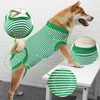 Dog Recovery Suit, After Surgery Wear for Pets Male Female,