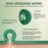 Propolis Liposomal Vitamin C by Beekeeper's Naturals, 1000mg Vitamin C,