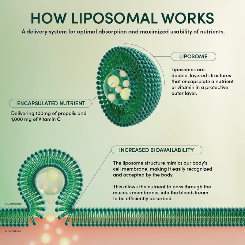 Propolis Liposomal Vitamin C by Beekeeper's Naturals, 1000mg Vitamin C,