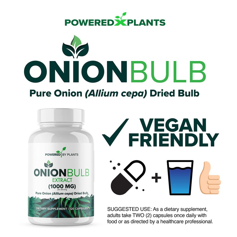 Onion Bulb Extract 1000mg Pure All Natural Onion (Allium Cepa)