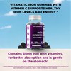 Vitamatic Iron 65 mg Gummies Supplement for Women & Men