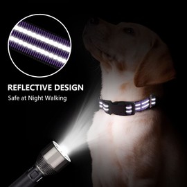 Hikiko Martingale Collar for Dogs Reflective Nylon Dog Collar with Quick Release Buckle Adjustable Training No Slip Dog Collar (Large, Purple)