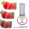 ZP LED Corn Light Bulb 100W Super Bright 15000lm 5000k
