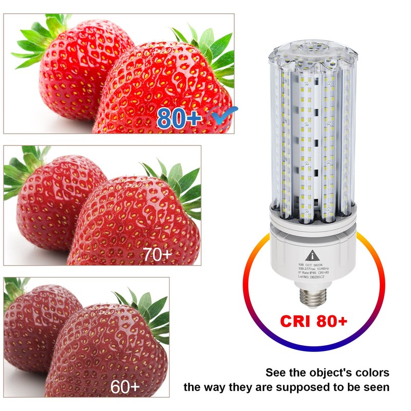 ZP LED Corn Light Bulb 100W Super Bright 15000lm 5000k