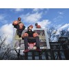 Wilson Basketball, Team Alliance Model, LOS ANGELES LAKERS, Indoor/Outdoor, Mixed