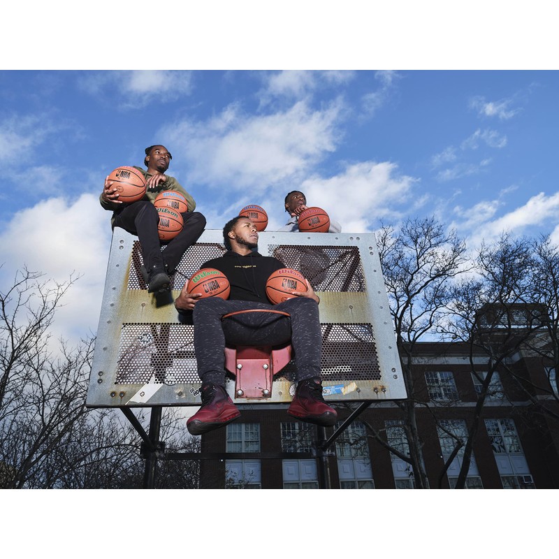 Wilson Basketball, Team Alliance Model, LOS ANGELES LAKERS, Indoor/Outdoor, Mixed