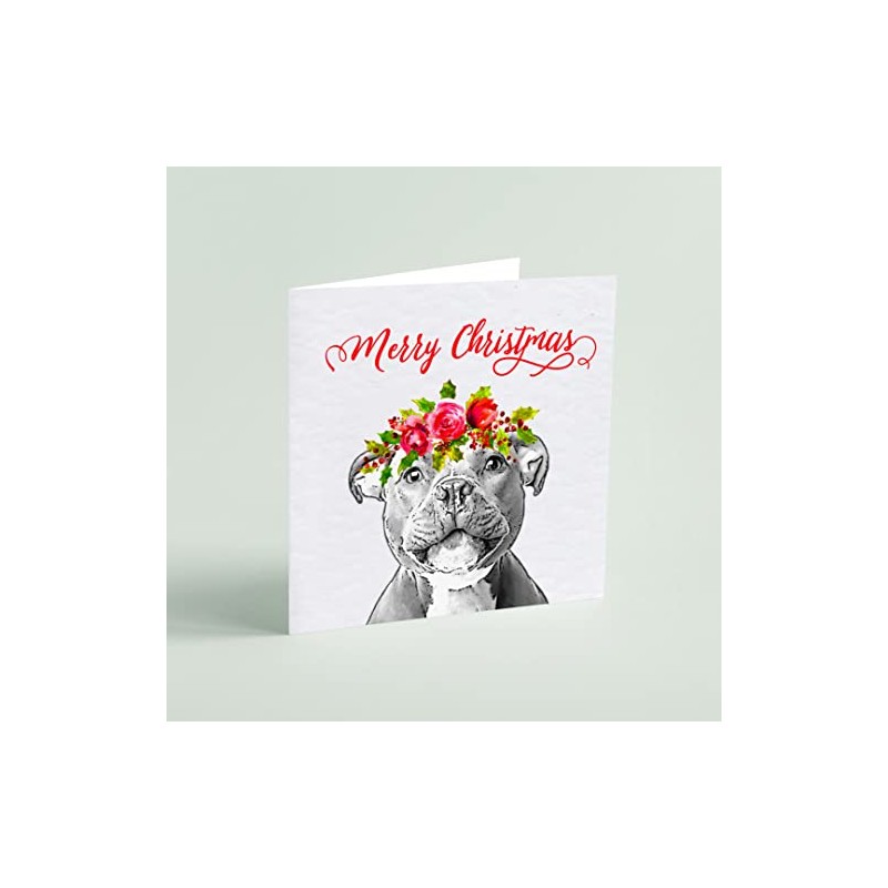 Staffordshire Bull Terrier Christmas Card - Holly Crown - Pack