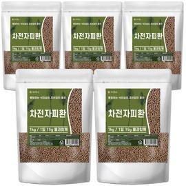 Psyllium husk pills (1kg) 5 pieces Psyllium husk pills that are easy to swallow / 차전자피환 1kg 5개 차전자피 목넘김이 쉬운 환