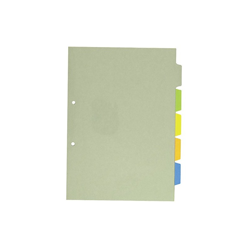 キングジム カバ-付きカラ-インデックス A4S 907-2C