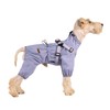 BT Bear Dog Harness Raincoat,Adjustable 4 Legs Dog Jacket with