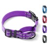 BITSYMORE Martingale Dog Collar, Adjustable Nylon Reflective Collar with Buckle.