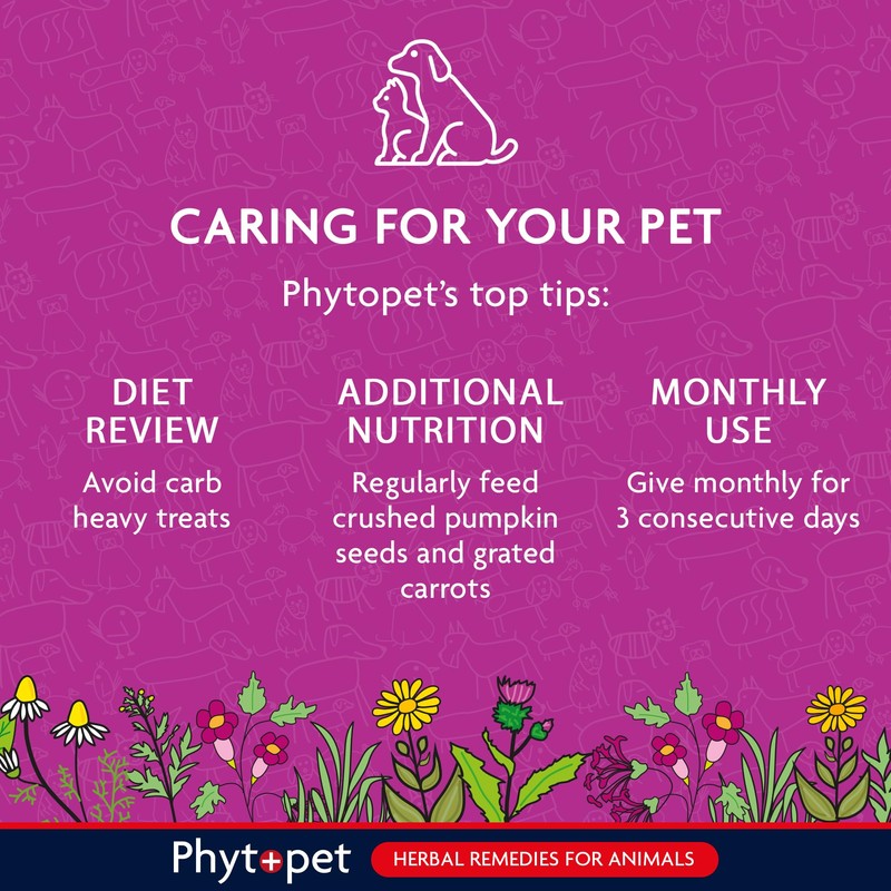 Phytopet Wormwood Complex, All Natural Pet Remedy Intestinal Hygiene, Health