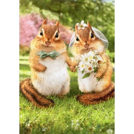 Chipmunk Bride And Groom - Avanti Funny Wedding Card