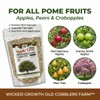 Old Cobblers Farm™ Wicked Growth Apple Tree Fertilizer - Boost