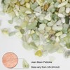 GASPRO 2.5 Pound Pebbles for Indoor Plants, 3/8 Inch Decorative