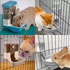 Automatic Pet Food Water Dispenser, Auto Gravity Pet Feeder Water