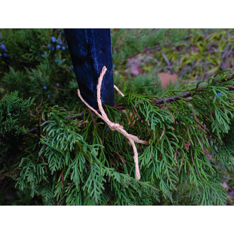 Dalen 100% Natural Jute Twine, 200 ft Roll