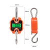 250kg Portable Hand Electronic Scale LCD Display with Backlight kg