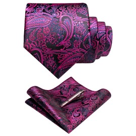 RBOCOTT Paisley Tie Pink Necktie and Pocket Square with Tie Clip Sets for Men（18）