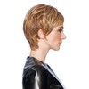 Feather Cut Wig Color R2 Ebony - 3.5" Short Pixie