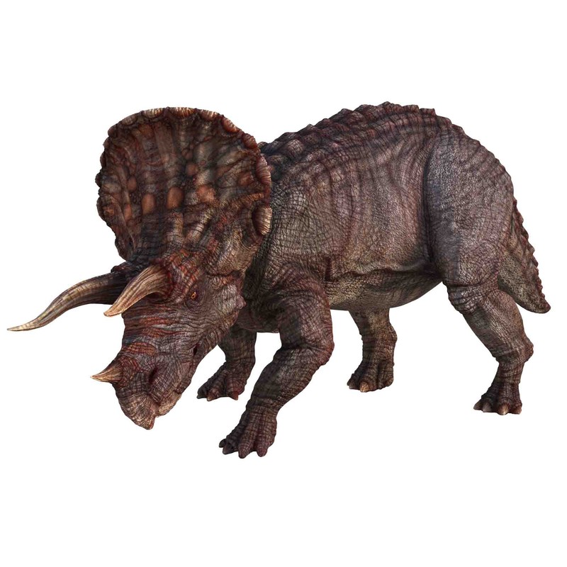 Natural History Museum Dinosaur Flashlight and Projector STEM, Clear