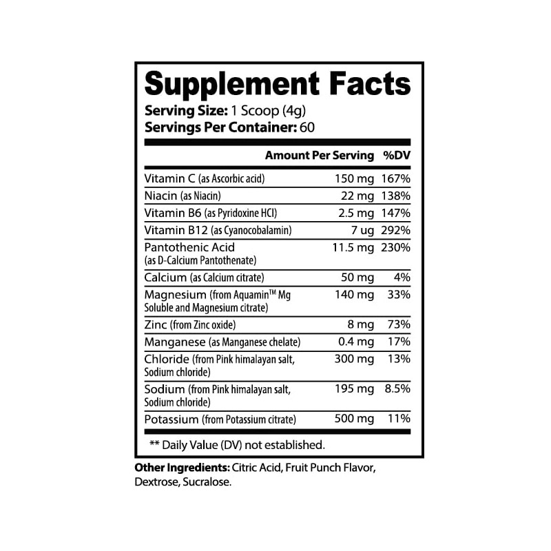 ImmunoPower Daily Electrolyte Powder Drink Mix – Fruit Punch, 60