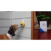 Doggie Doorbell - Blue Accent