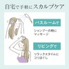 Daily Delight Scalp Brush 1pc Scalp Care