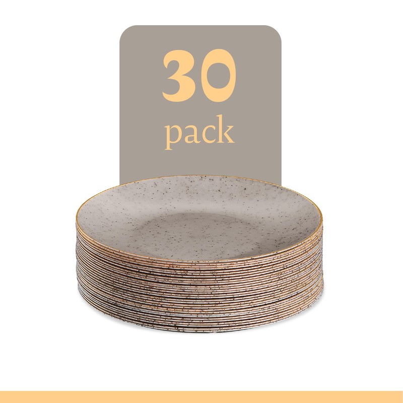 PLASTICPRO 30 Pack Disposable Plastic Plates Heavyweight Granite Look Elegant