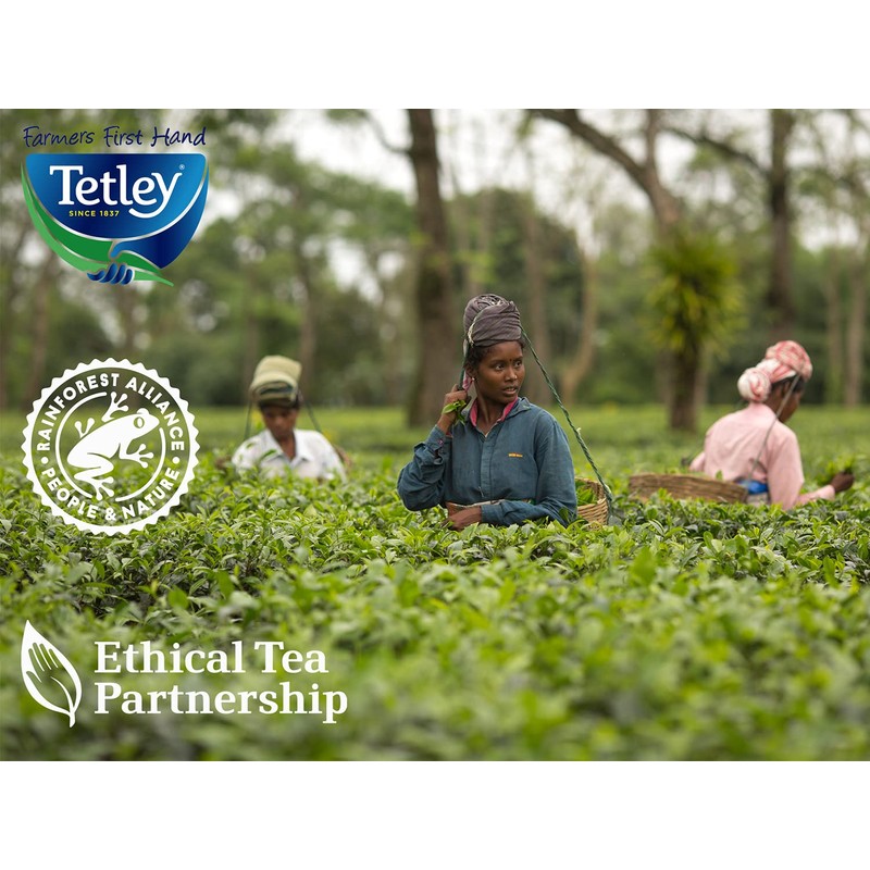 Tetley Enveloped Variety Pack 90 Envelopes